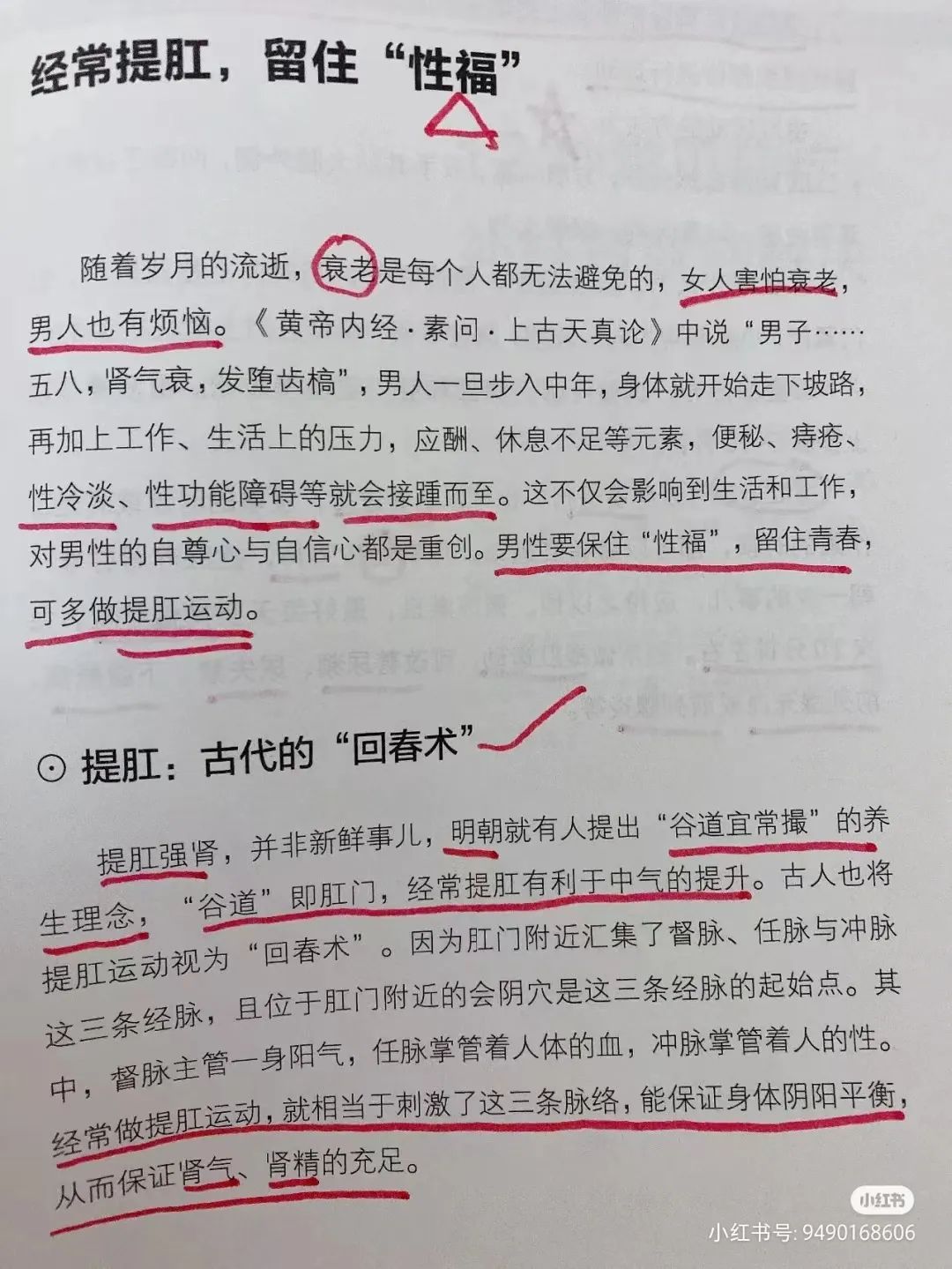 字母斯慕圈苦练提肛，能不能“变强”？