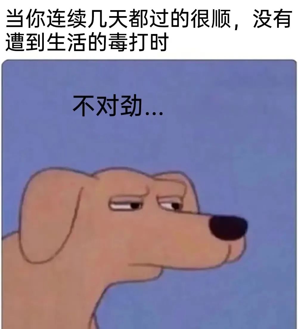 你都被哪些匪夷所思的道具SP过？-8